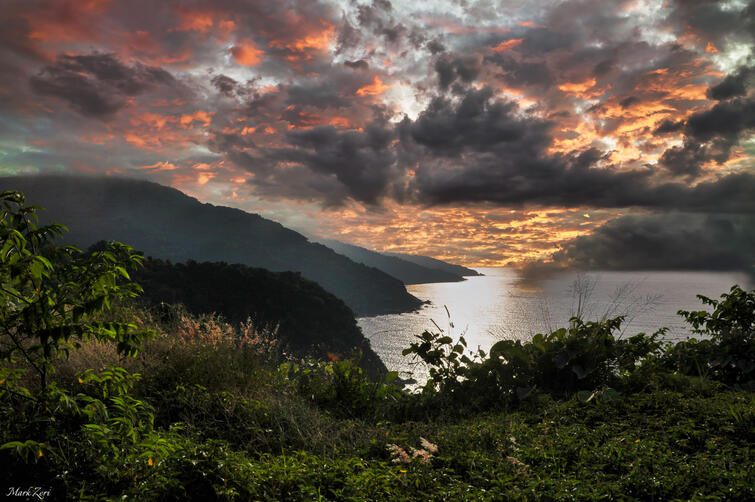 VN 39 Son Tra Peninsula